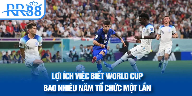 loi-ich-viec-biet-world-cup-bao-nhieu-nam-to-chuc-mot-lan