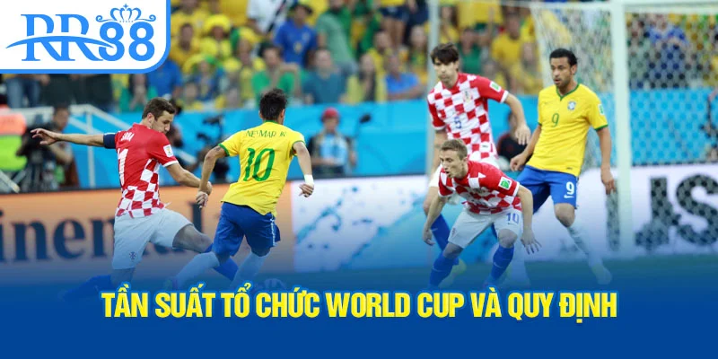 tan-suat-to-chuc-world-cup-va-quy-dinh