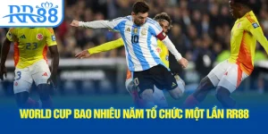 world-cup-bao-nhieu-nam-to-chuc-mot-lan-rr88